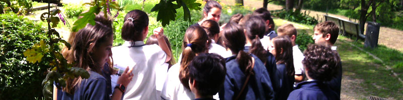 5.º ano no Parque de Serralves