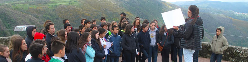 A importância dos fósseis