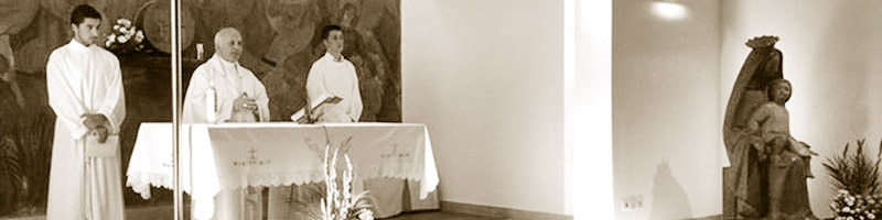 D. ANTÓNIO FRANCISCO DOS SANTOS | 1948-2017