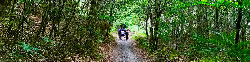 Caminho de Finisterra