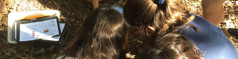 Visita a Serralves: Projeto Con(s)ciênciarte – “Ecossistema com Vida”