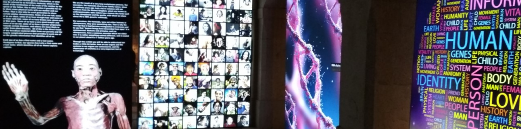 Exposição “Corpo Humano – A Ciência da Vida”