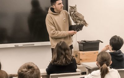 Associação SOS Fauna Exótica