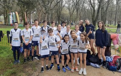 Corta-mato Distrital – Desporto Escolar
