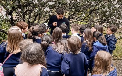 Visita ao Jardim Botânico