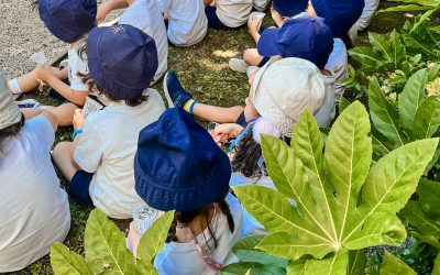 Dia da Criança | Pré-escolar