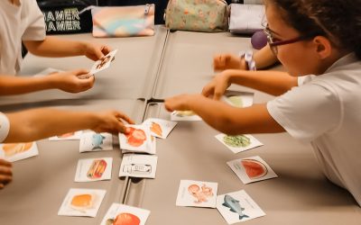 “O que quero no meu prato?” | 3.º ano