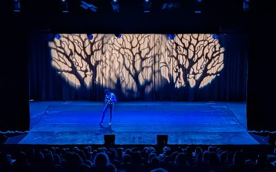 We call it Ballet: Sleeping Beauty, dance and light show !