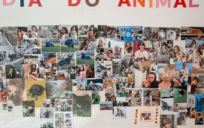 O 2.º Ciclo celebra o Dia do Animal