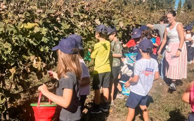 3.° ano na Quinta da Eira