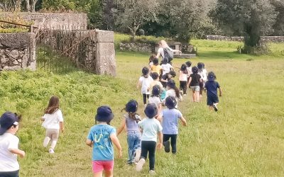 Visita a Ser na Floresta